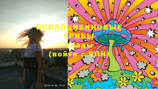 PSILOCYBIN Медвежьегорск