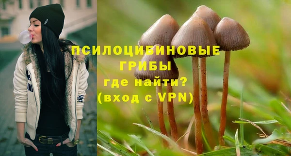 PSILOCYBIN Медвежьегорск
