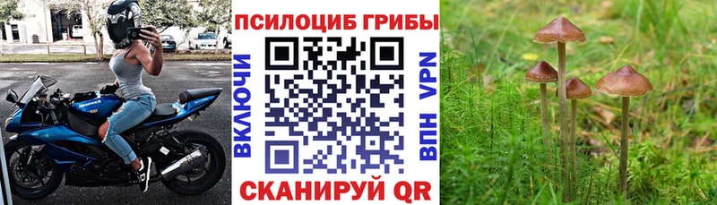 купить закладку  Фёдоровский  Псилоцибиновые грибы прущие грибы 